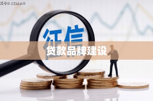盐边贷款品牌建设