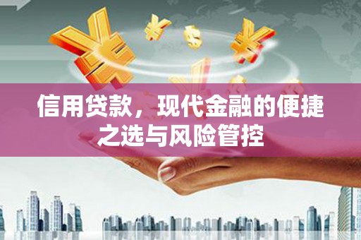 苗栗信用贷款，现代金融的便捷之选与风险管控