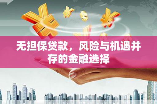 灌阳无担保贷款，风险与机遇并存的金融选择