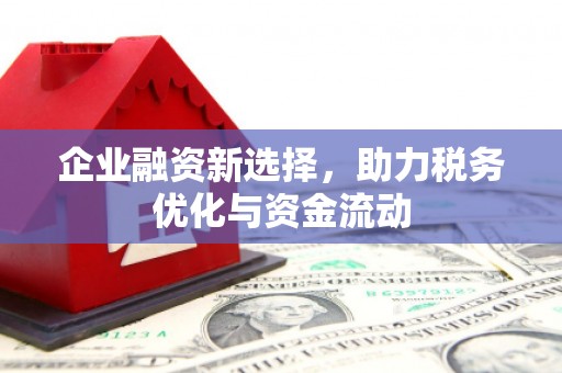 马边企业融资新选择，助力税务优化与资金流动
