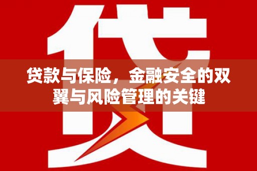 大宁贷款与保险，金融安全的双翼与风险管理的关键