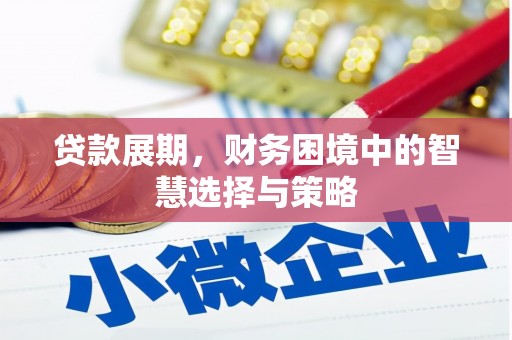 舞钢贷款展期，财务困境中的智慧选择与策略