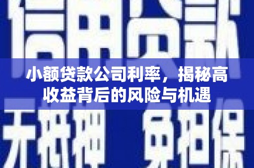 丰宁小额贷款公司利率，揭秘高收益背后的风险与机遇