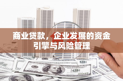 东台商业贷款，企业发展的资金引擎与风险管理