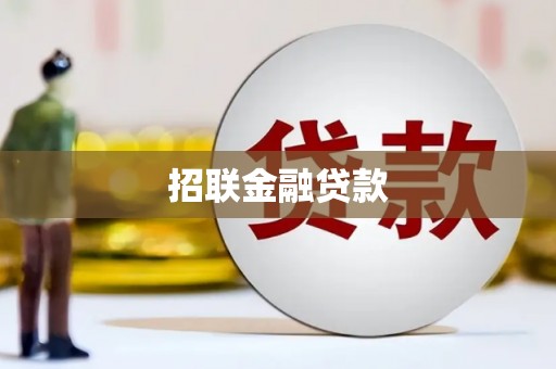 新泰招联金融贷款