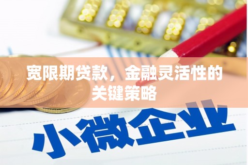 汕尾宽限期贷款，金融灵活性的关键策略