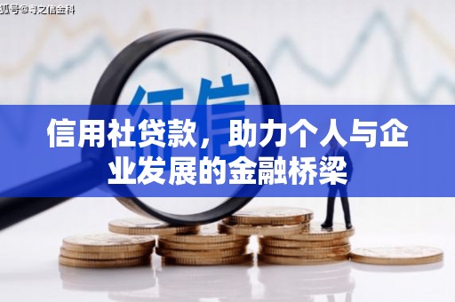 临邑信用社贷款，助力个人与企业发展的金融桥梁
