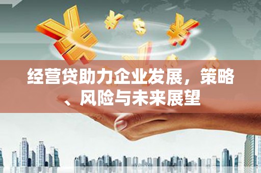 岭东经营贷助力企业发展，策略、风险与未来展望