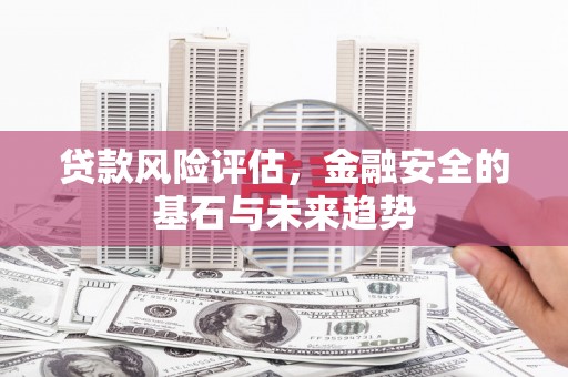 稻城贷款风险评估，金融安全的基石与未来趋势