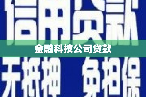 安仁金融科技公司贷款