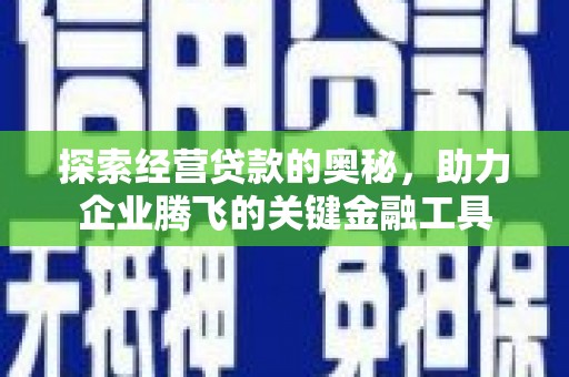 万峦探索经营贷款的奥秘，助力企业腾飞的关键金融工具