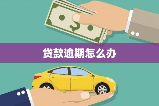 莱山贷款逾期怎么办