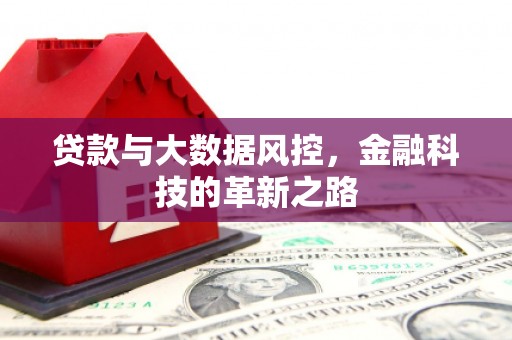 温宿贷款与大数据风控，金融科技的革新之路