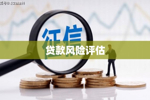 双河贷款风险评估