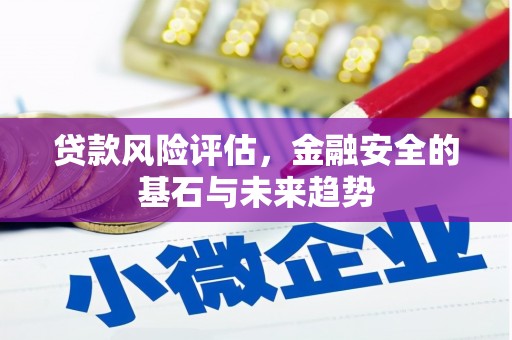 康保贷款风险评估，金融安全的基石与未来趋势