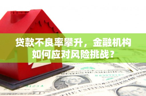 丰顺贷款不良率攀升，金融机构如何应对风险挑战？