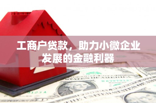 东安工商户贷款，助力小微企业发展的金融利器