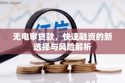 渭城无电审贷款，快速融资的新选择与风险解析