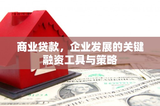 遂昌商业贷款，企业发展的关键融资工具与策略
