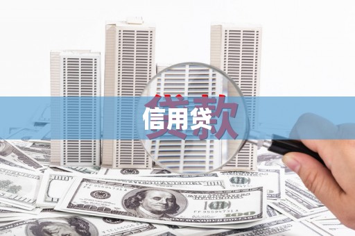 理县信用贷