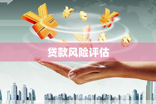 白水贷款风险评估