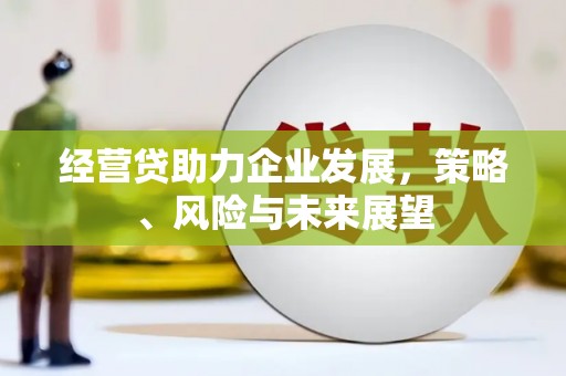宣化经营贷助力企业发展，策略、风险与未来展望