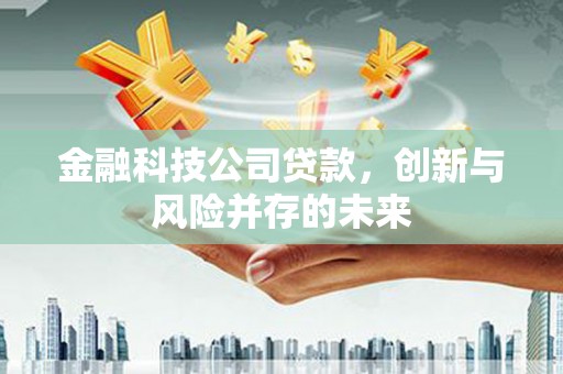 大余金融科技公司贷款，创新与风险并存的未来
