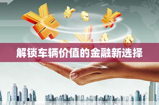 海原解锁车辆价值的金融新选择