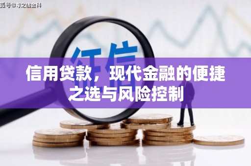 东兴信用贷款，现代金融的便捷之选与风险控制