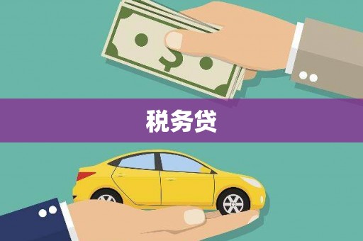 户县税务贷