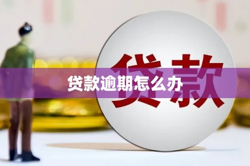 兴县贷款逾期怎么办