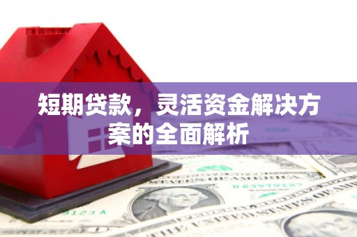 海盐短期贷款，灵活资金解决方案的全面解析
