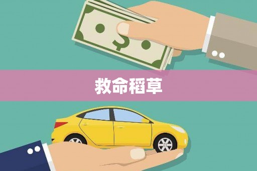 洮南救命稻草