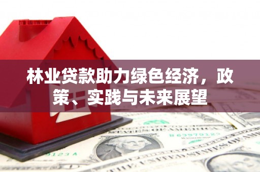 昆都仑林业贷款助力绿色经济，政策、实践与未来展望
