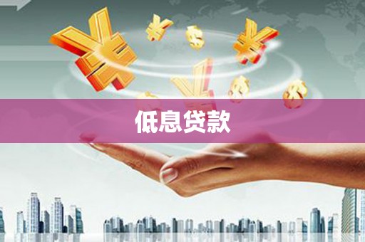 滨城低息贷款