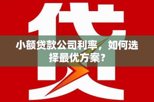 蒲城小额贷款公司利率，如何选择最优方案？