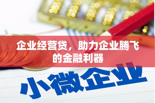 湘西企业经营贷，助力企业腾飞的金融利器