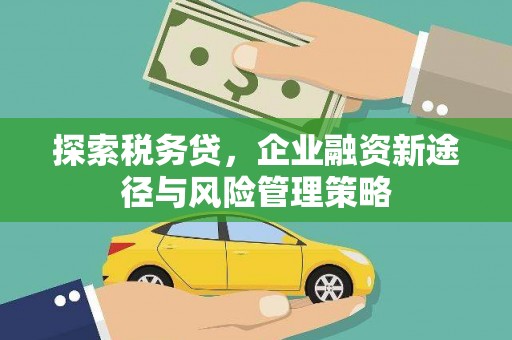 大岭山探索税务贷，企业融资新途径与风险管理策略