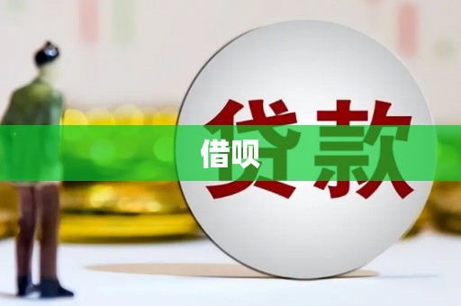 槐荫借呗