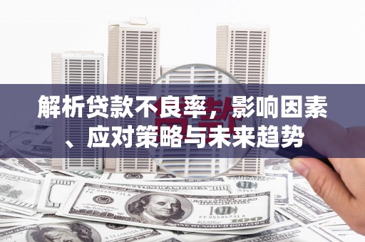 云岩解析贷款不良率，影响因素、应对策略与未来趋势