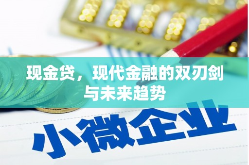 善化现金贷，现代金融的双刃剑与未来趋势