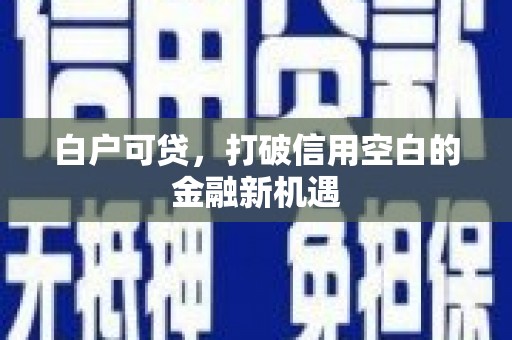岳塘白户可贷，打破信用空白的金融新机遇
