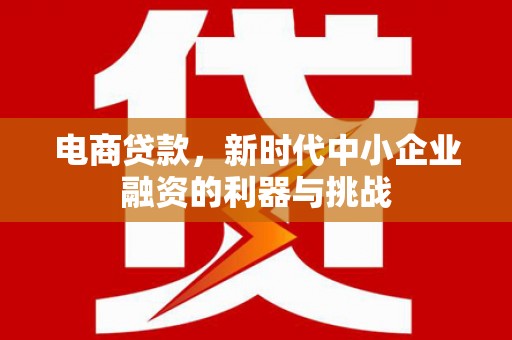 永寿电商贷款，新时代中小企业融资的利器与挑战