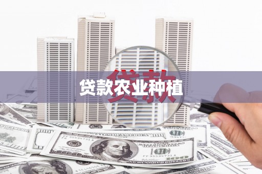 乌伊岭贷款农业种植