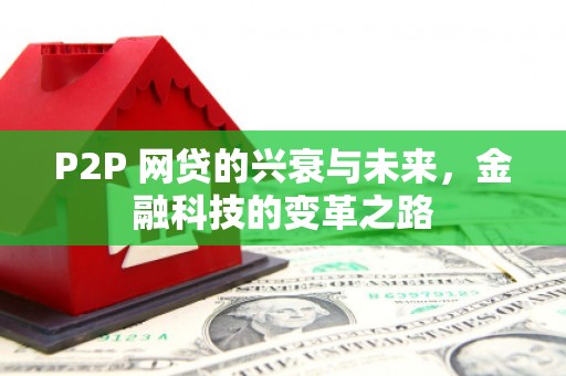 怒江P2P 网贷的兴衰与未来，金融科技的变革之路