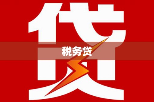 泊头税务贷