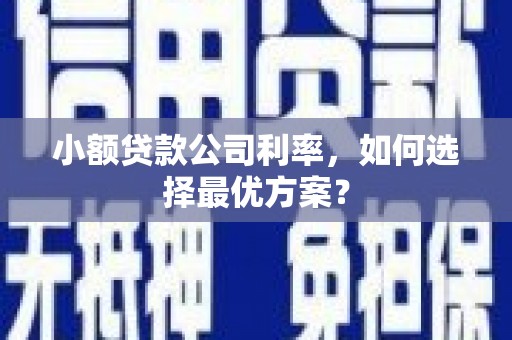 土默特左旗小额贷款公司利率，如何选择最优方案？