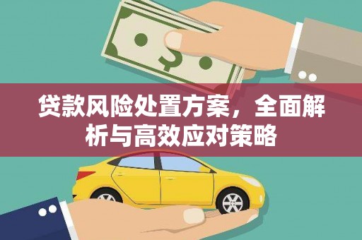 名山贷款风险处置方案，全面解析与高效应对策略