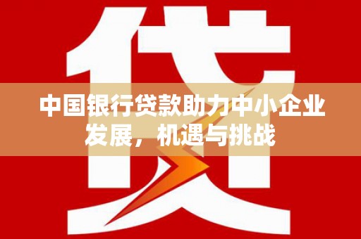 岳阳中国银行贷款助力中小企业发展，机遇与挑战