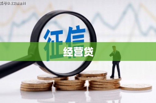 苍梧经营贷